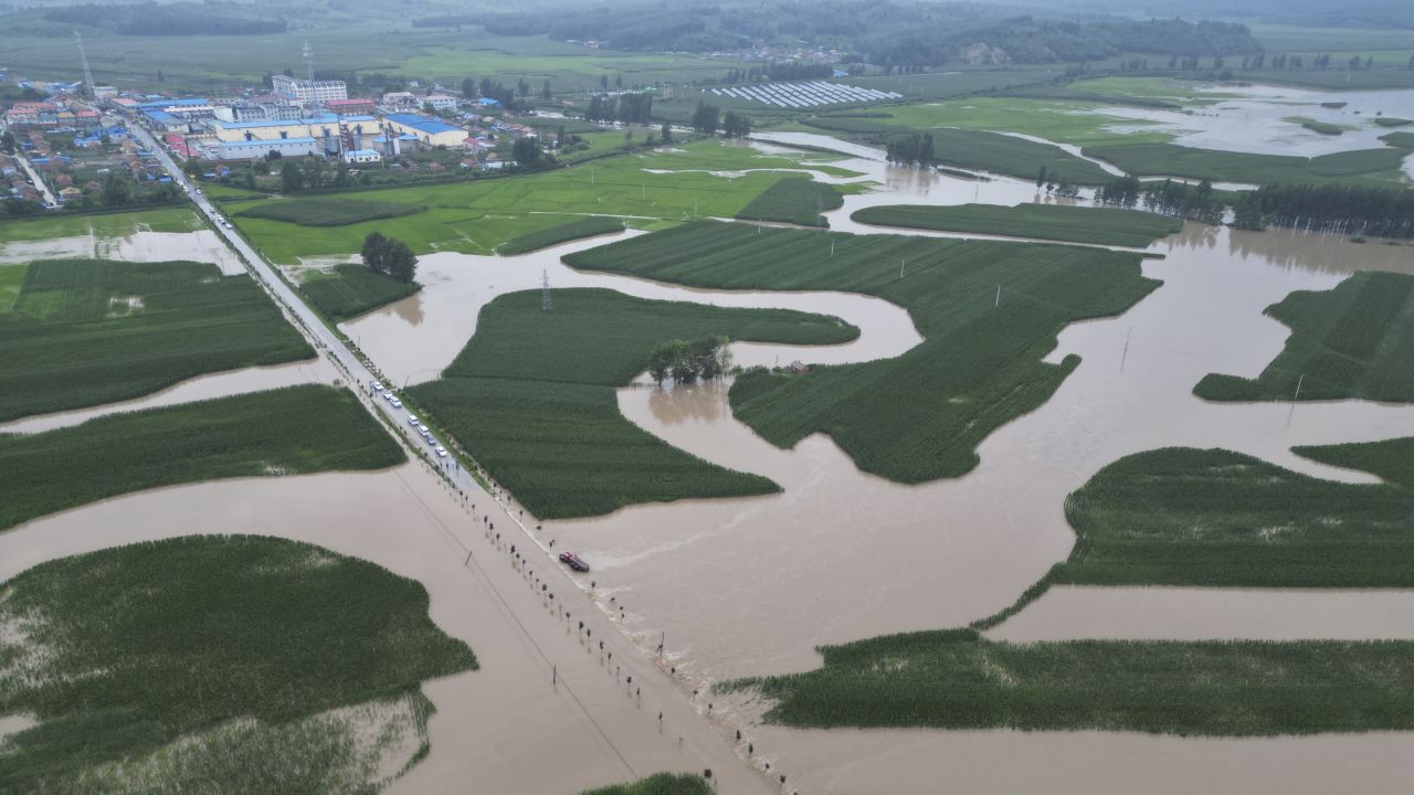 Floods in China: Crops damage raises food security concerns